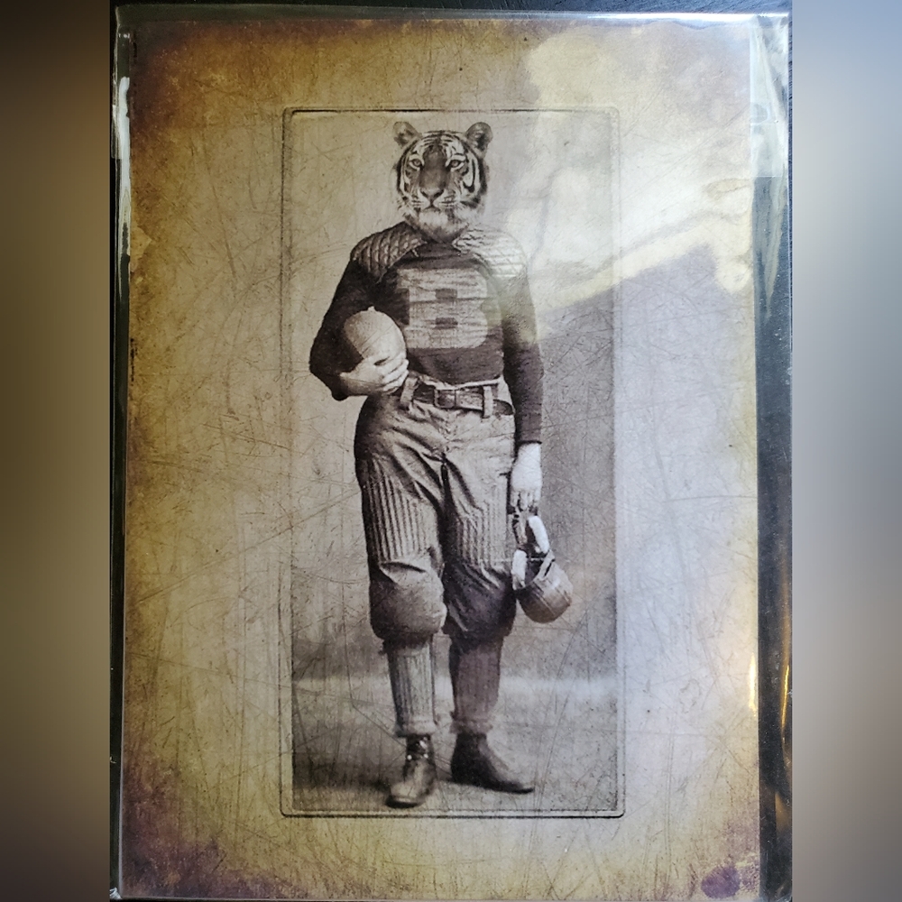 Tiger Antique pet photo